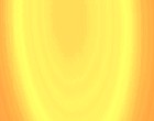 portal design
